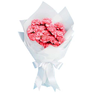Tokyo Florist – 12 Pink Carnations Bouquet