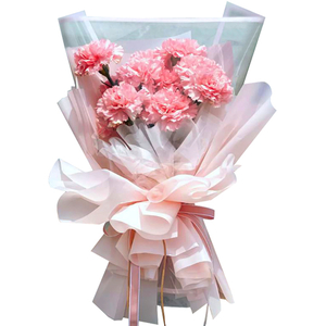 Online Flower Delivery Tokyo – 12 Pink Carnations