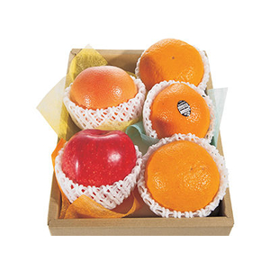 Fruit Basket Delivery Japan
