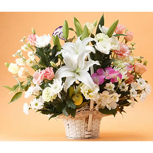 Online Flower Delivery Tokyo | Lila Funeral Flowers