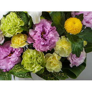 flora japan