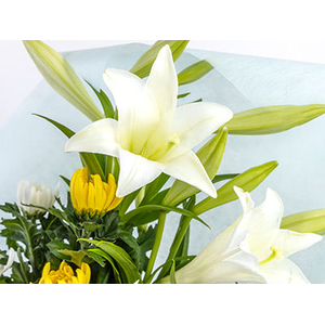 sympathy-flowers-to-japan