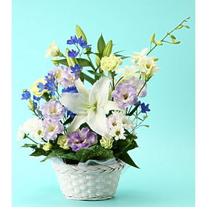 Send Flowers Tokyo | Lila Funeral Flowers