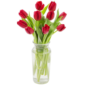 Florist in Tokyo Japan – 12 Red Tulips in Vase