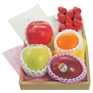 Send Seasonal Fruit Basket Japan