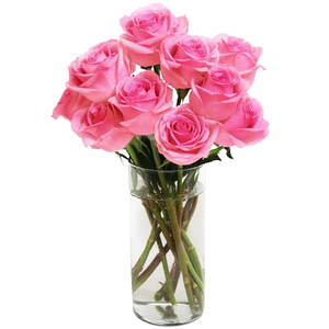 Best Flower Delivery Tokyo | 12 Pink Roses Vase