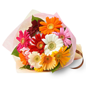 Send Flowers Tokyo – 10 Mix Gerbera Bouquet