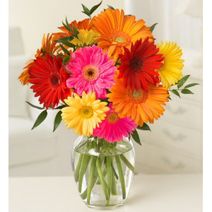 Tokyo Flower Delivery – 10 Stems Mix Color Gerberas Vase
