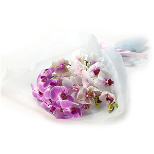 Tokyo Florist - Elegant Midi Phalaenopsis Bouquet