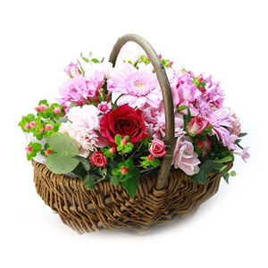 Tokyo Florist | Pink Gerbera, Carnations & Red Rose