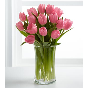 Tokyo Florist Delivery – 12 Pink Tulips in Vase