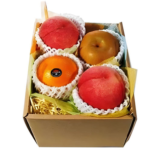 Send-Fruits-in-Basket-Japan