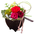 Hanamari “花毬” Preserved Flower Delivery Japan