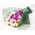 Sending Someone Orchids Japan – Phalaenopsis Bouquet