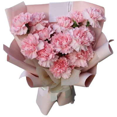 Flower Delivery Japan Tokyo – 12 Pink Carnations Bouquet
