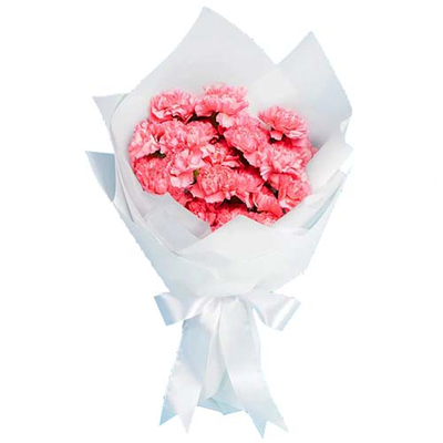 Tokyo Florist – 12 Pink Carnations Bouquet