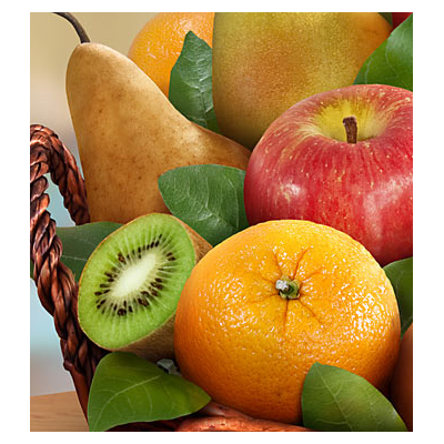 Fruit Basket Shop Japan | Premier Fruits