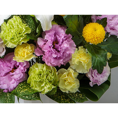 flora japan