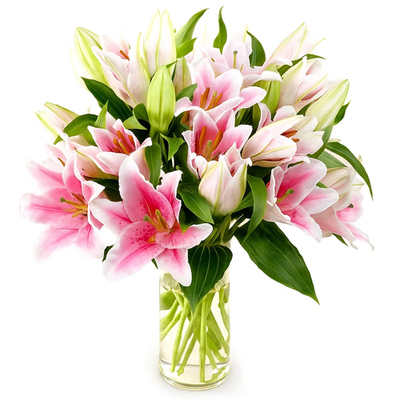 Tokyo Flower Shop - Pink Lilies in Vase