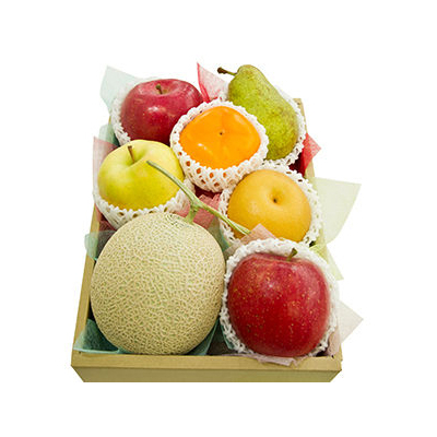 Seasonal Fruits Basket - Gift Baskets Tokyo Japan