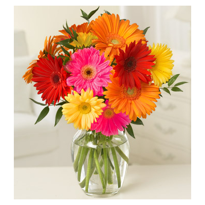Tokyo Flower Delivery – 10 Stems Mix Color Gerberas Vase