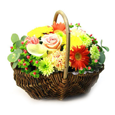Flower Shop in Tokyo Japan | Gerbera, Roses & Carnations