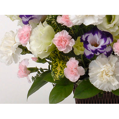 Sympathy Flowers to Japan – Funeral Flowers