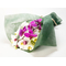 Sending Someone Orchids Japan – Phalaenopsis Bouquet